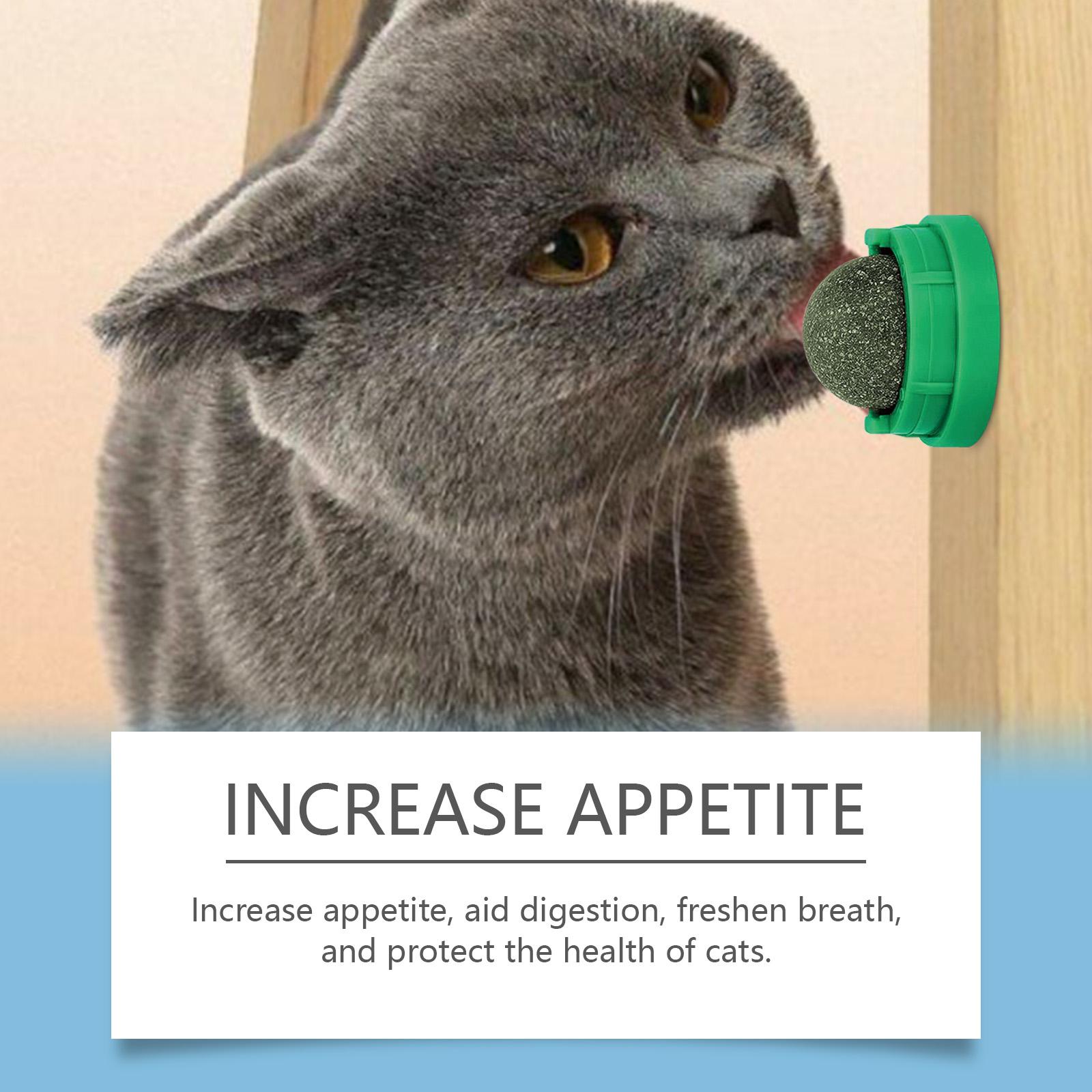 Mint-Flavored Rotating Cat Ball Toy, Chew Toy Tooth Cleaning Care Rotating Mint Ball