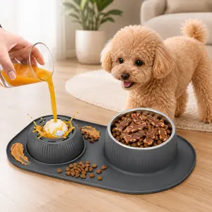 Slow Feeder Dog Bowl Set 3 in 1 Dog Feeding Station with Stainless Steel Bowl Detachable Water and Food Bowl Non Spill Silicone Mat Anti Slip Pet Bowl Set for Dogs Cats Everyday Use Outdoor Travel