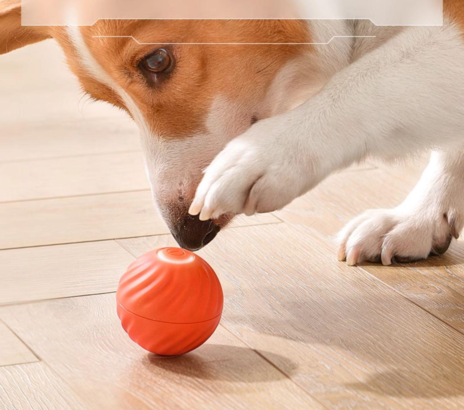 Gravity Jumping Ball Smart Rechargeable Pet Toy Automatic Rolling Interactive Chase Ball for Dogs Cats Livestock Prod with Flexible Shaft pet stuff dog pepper spray dog bugs detector reverse slow feeder shaped harness raised food bowl surprise gift k9