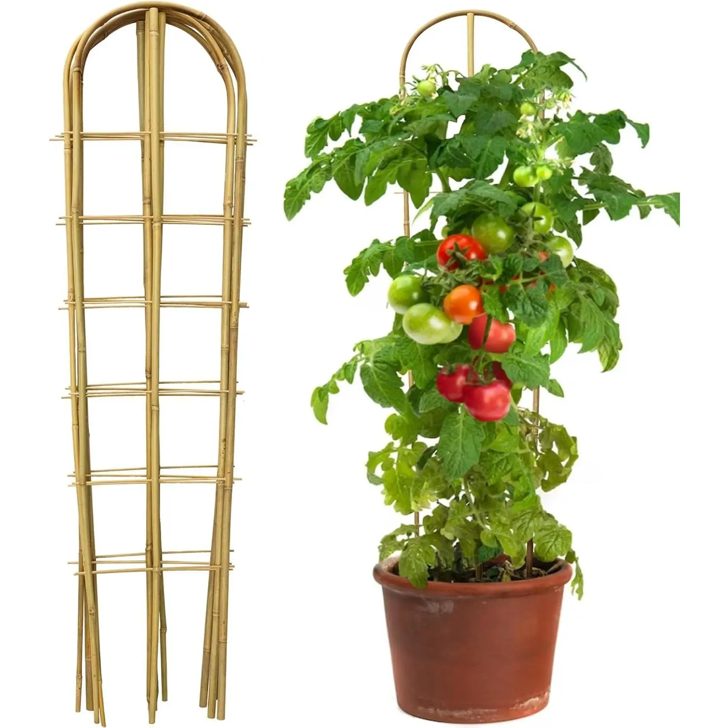 5 Pack 4 Feet U-Shape Bamboo Trellis, Natural Bamboo Trellis for Climbing Plants, Vegetables, Cucumber, Tomato, Outdoor and Indoor Potted Plants