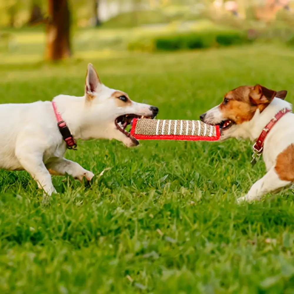 Dog Training, Coarse Hemp Biting Sticks, Diao Biting Sticks, Taking Molars, Dog Biting Sticks, Grinding Teeth, Playing, Cleaning Teeth, and Playing and Interacting with Pets, Suitable for All Kinds of Dogs To Play