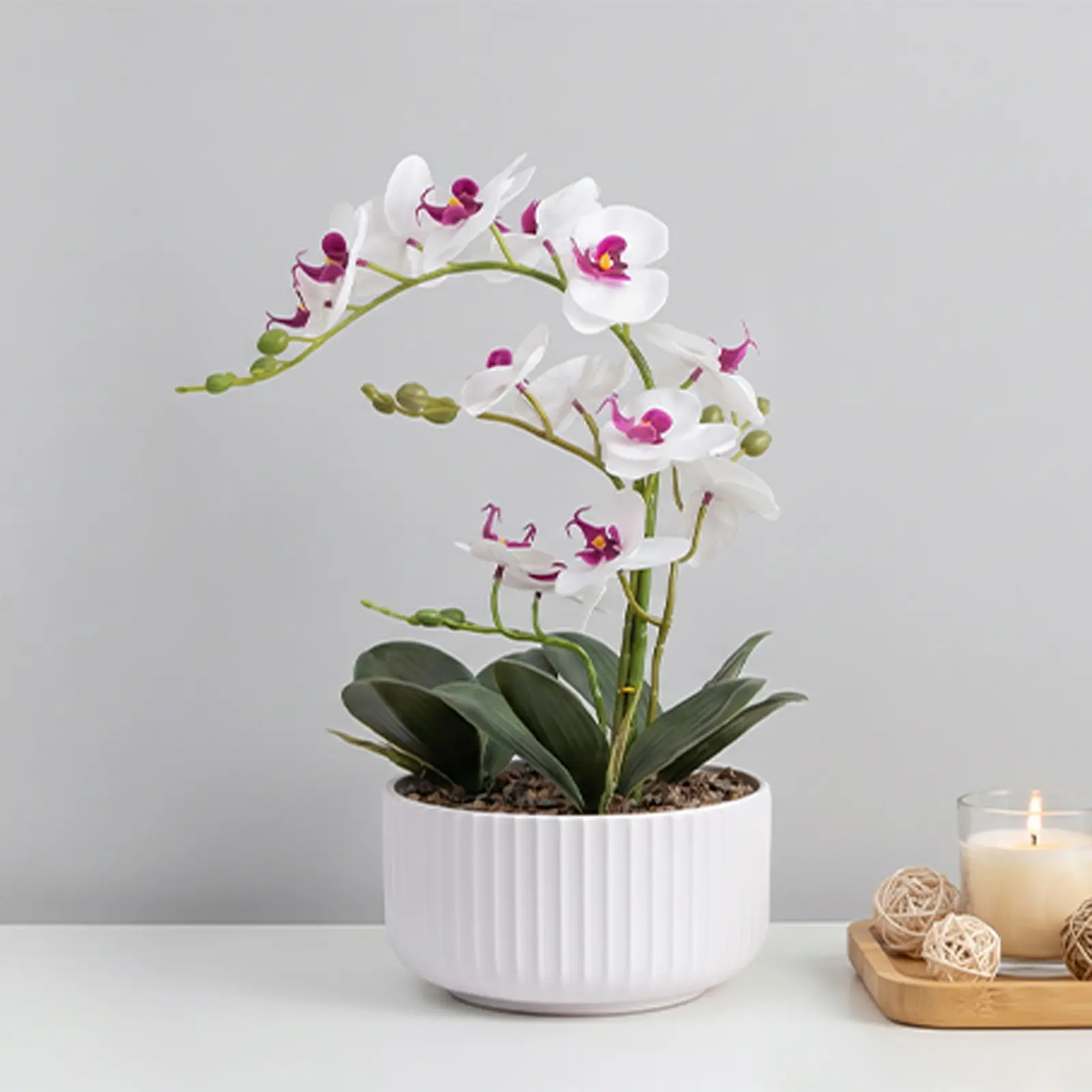 1pcs Orchid Artificial Flowers 48cm Fake Orchid Silk Flowers with Ceramic Pot Faux Orchid Arrangement for Home Office Room Table Shelf Modern Decoration