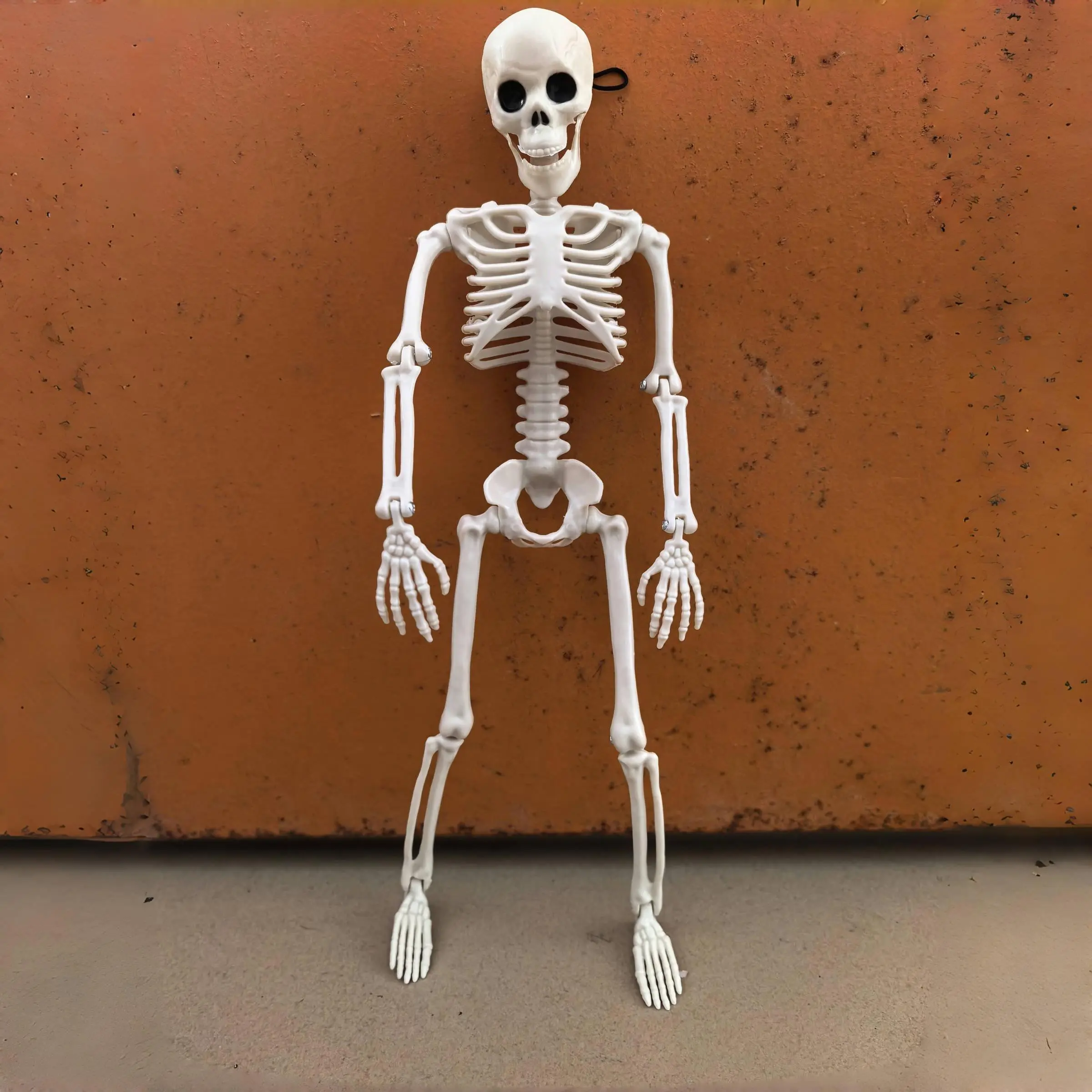 Halloween Horror Skull Decoration, Animated Skeletons and Plastic Skull Heads, Cemetery Ghost House Outdoor Setup, Halloween Decorations