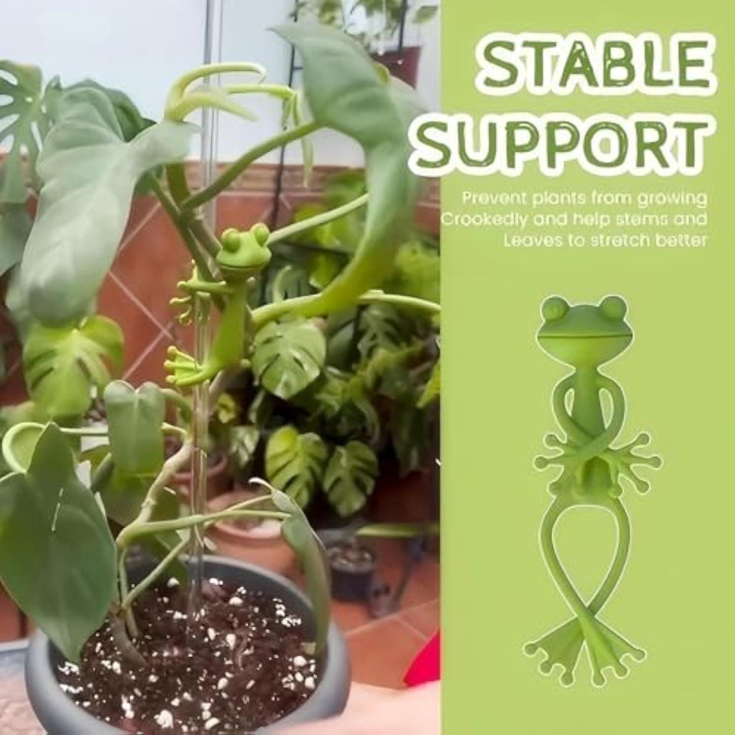 Frog Plant Stand Holder - Cute Flower Pot Clips for Climbing Plants, Indoor Outdoor Use, Stable Support to Make Plants Grow Upright Frog Plant Stand Holder - Cute Flower Pot Clips for Climbing Plants, Indoor Outdoor Use, Stable Support to Make Plants Grow Upright