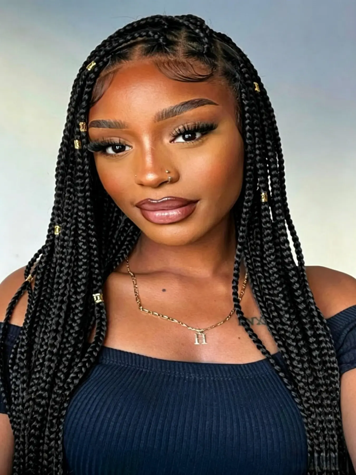 Braided Wig for Women, Double Full Lace Glueless Braid Wigs, Natural Baby Hair, Synthetic Box Braid Wig, 24 Inches, Daily Use, Synthetic Wigs for Black Women