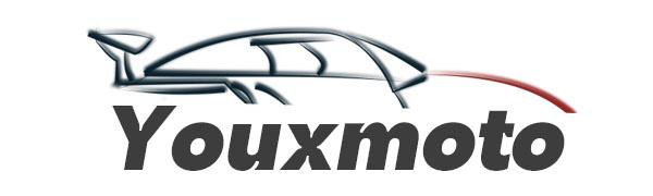 Truck Tailgate Assist Shock fit for Ford F150 2004-2014,fit for Lincoln Mark LT 2006-2008