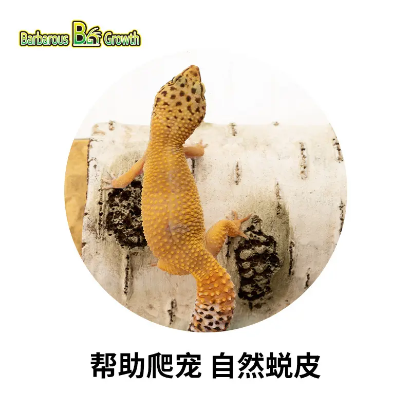 Reptile Resin Birch Log Hideout for Lizard Gecko Snake Tank Decoration Naturalistic Habitat Enclosure Hiding Spot