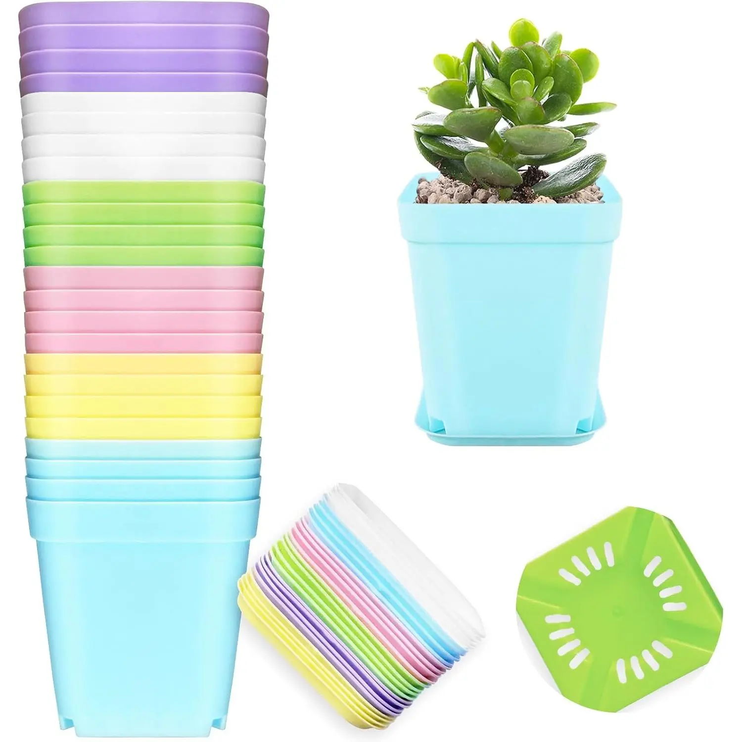 24-Pack Multi-Color Plastic Square Planters with Drainage Holes & Tray, Mini Square Shape Pots for Indoor Garden & Office Decor