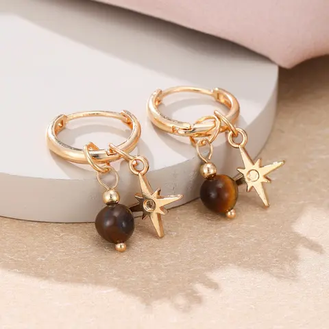 Vintage Tiger Eye Star Round Earrings for Women, Rounded Hoop Earrings, Simple Casual Everyday Commute Jewelry, Unique Personality Ear Rings
