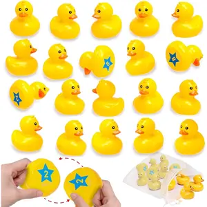 Duck Matching Bath Toys for Kids - 20 Plastic Ducks with Storage Bag - Fun Memory Games, Float Mini Duck Bath Toys, Water Outdoor Game for Children, Preschoolers, Birthday Party Carnivalfidget toys