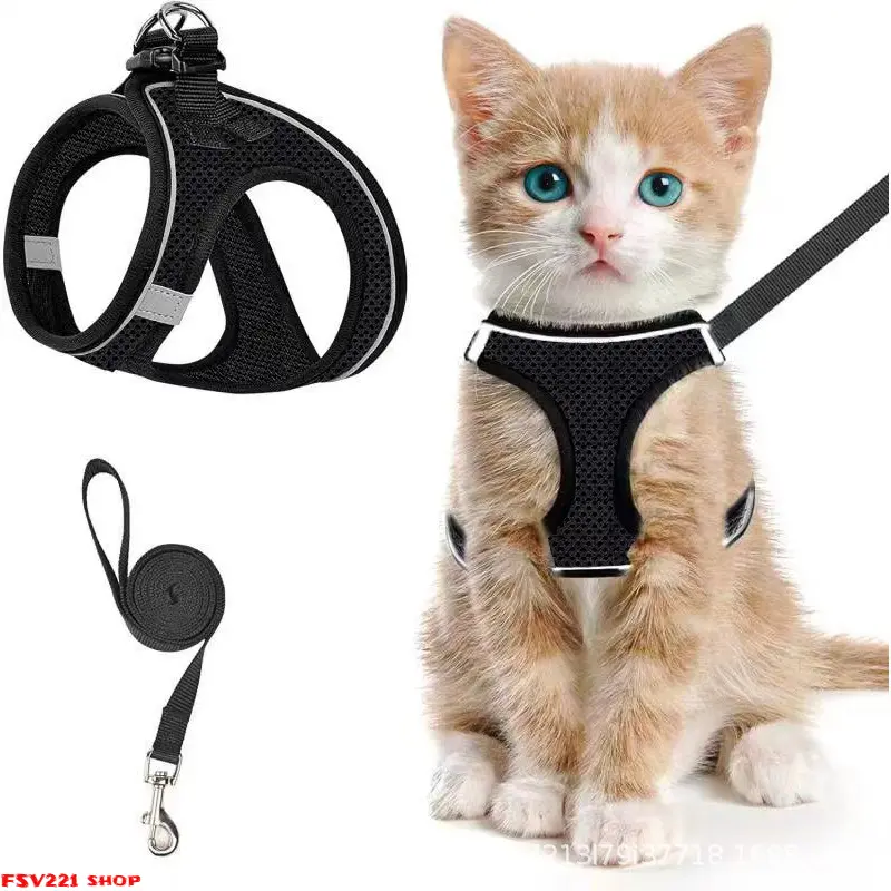 Breathable mesh cat harness and leash set; an adjustable, escape-proof vest suitable for outdoor walks with small cats. Includes a matching leash, perfect for outdoor adventures. Suitable for both kittens and adult cats.