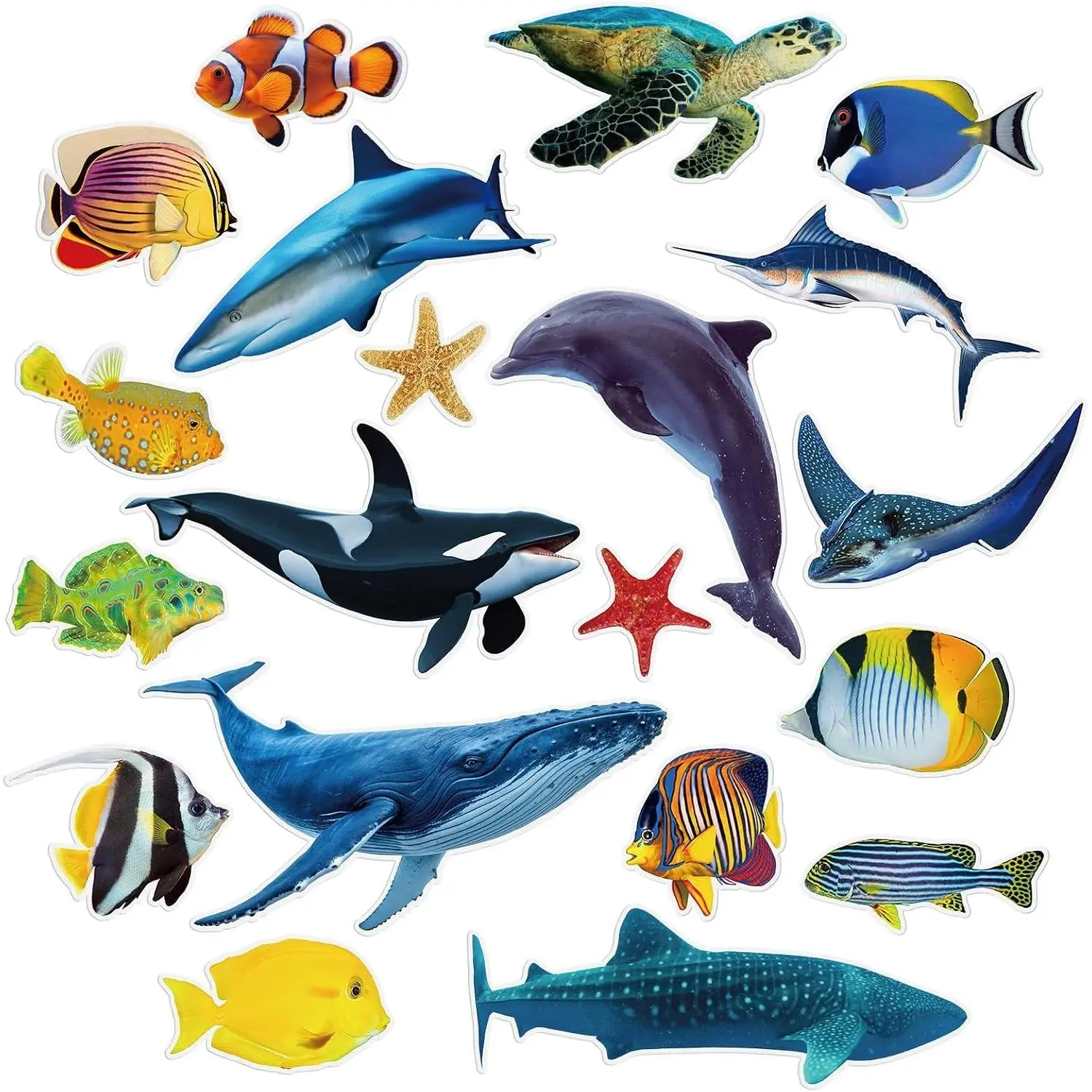 20 Pcs Realistic Sea Life Cut Outs Ocean Animal Cardboard Cutouts | 23 x 12 Inches Tropical Fish Cutouts, Ocean Bulletin Board Decor, for Summer Under The Sea Party Decorations