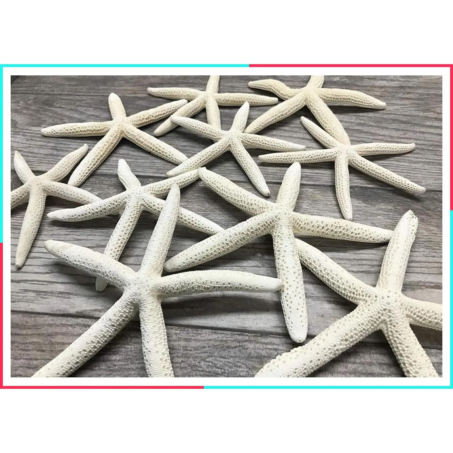 Starfish Decor - 10 Pack Real 6-8 Inch White Sea Stars for Crafts, Beach Wedding, Coastal Party, Seashell Décor