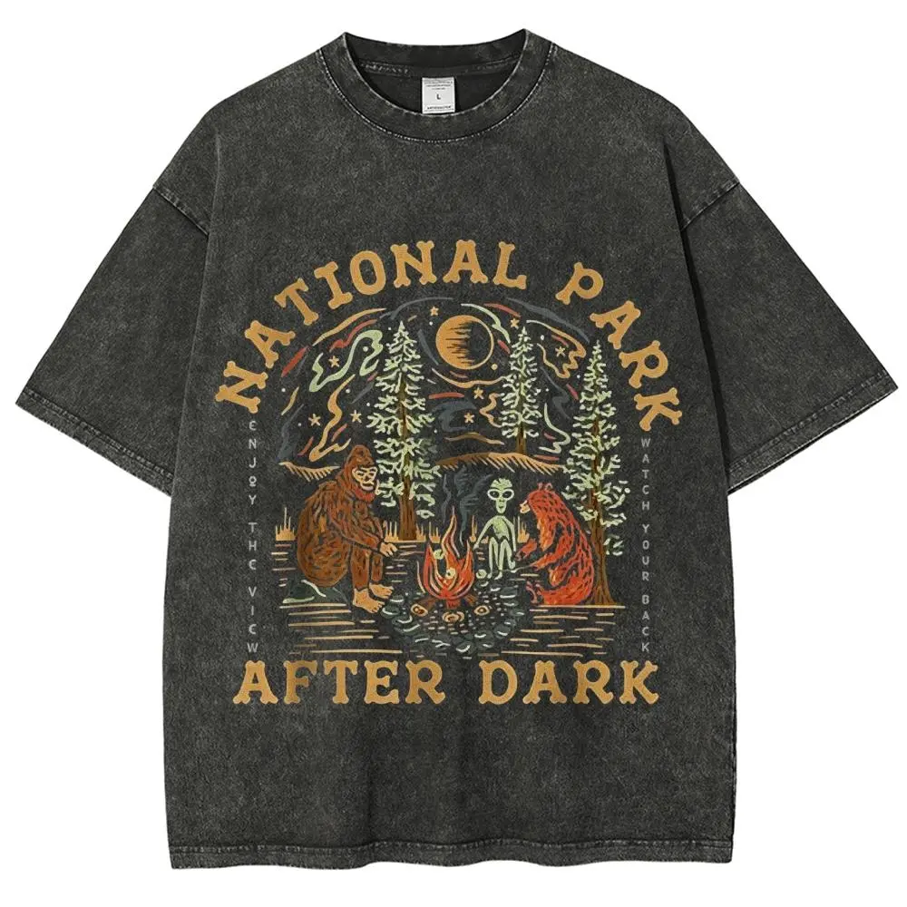 Funny National Park After Dark Men Women's T Shirt