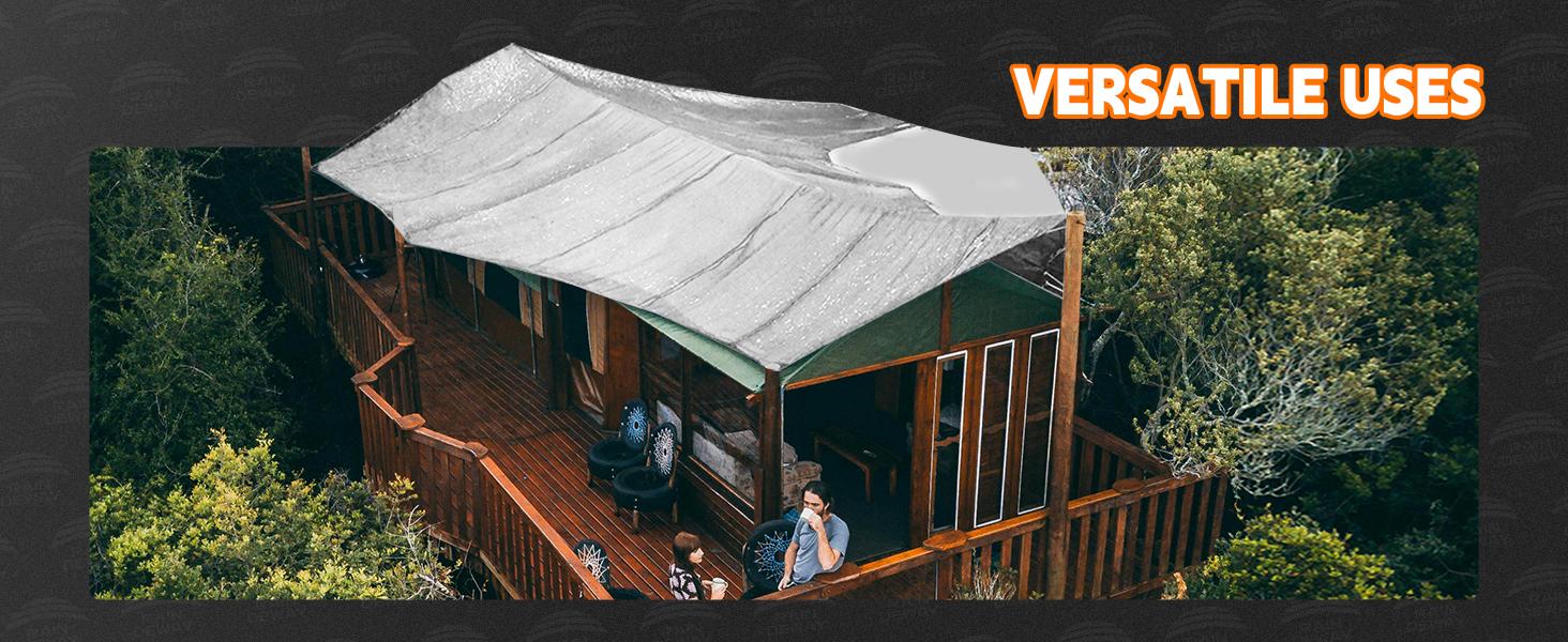 Tarps Heavy Duty Waterproof 6x8 Feet, 10Mil Multipurpose Small Tarp Cover with Metal Grommets and Reinforced Edges, Silver/Brown Tarp by RAINDEWAY