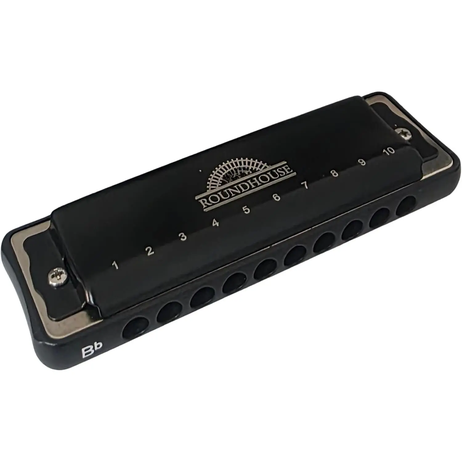 Roundhouse Harmonica 10 Hole Diatonic with Padded Zipper Case (C)