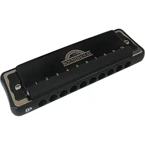 Roundhouse Harmonica 10 Hole Diatonic with Padded Zipper Case (C)