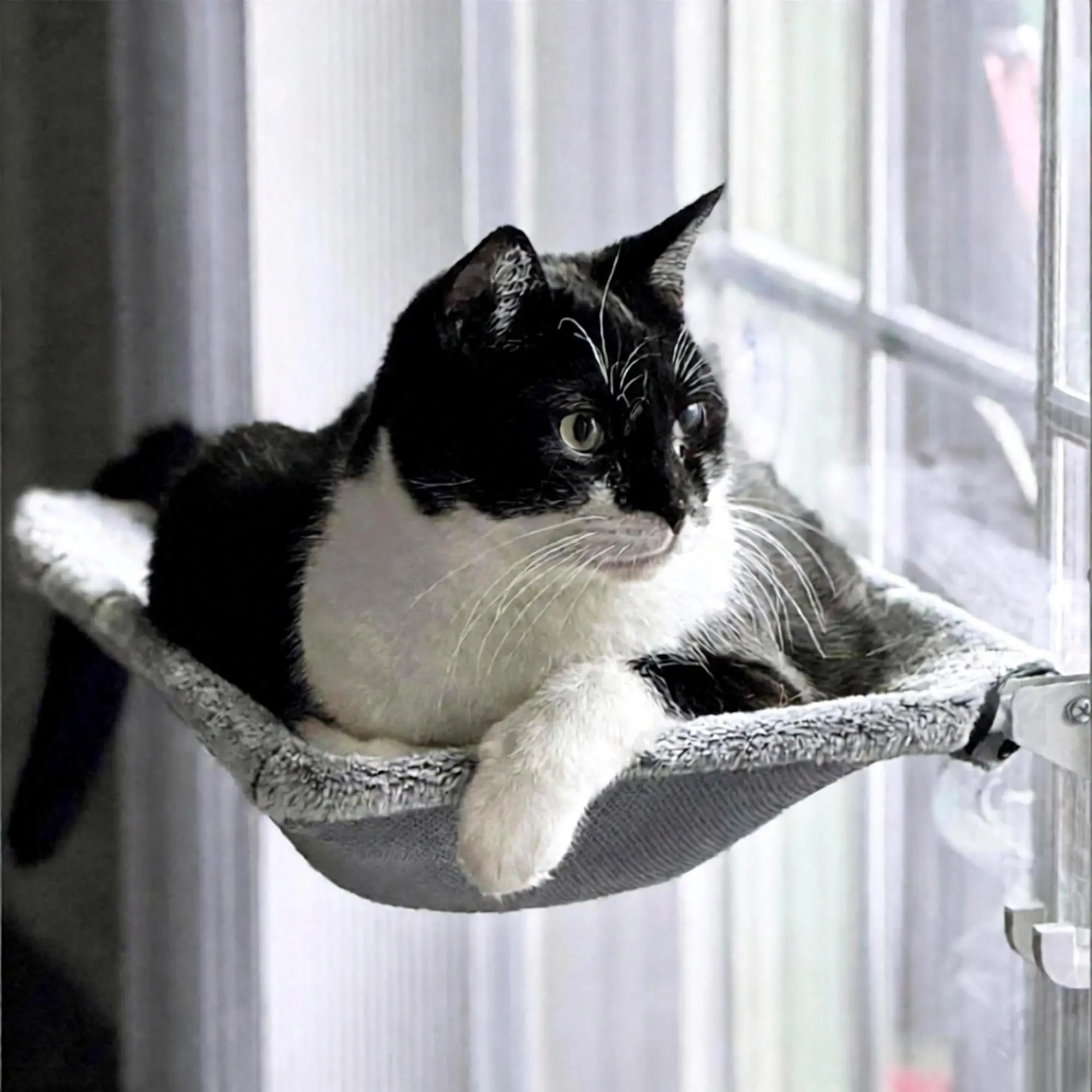 Foldable Window Seat for Cats Inside Home,Sunbathing Window Perch for Large Cats, Glow in The Dark Cat Window Hammock with Hook Design, Easy to Assemble