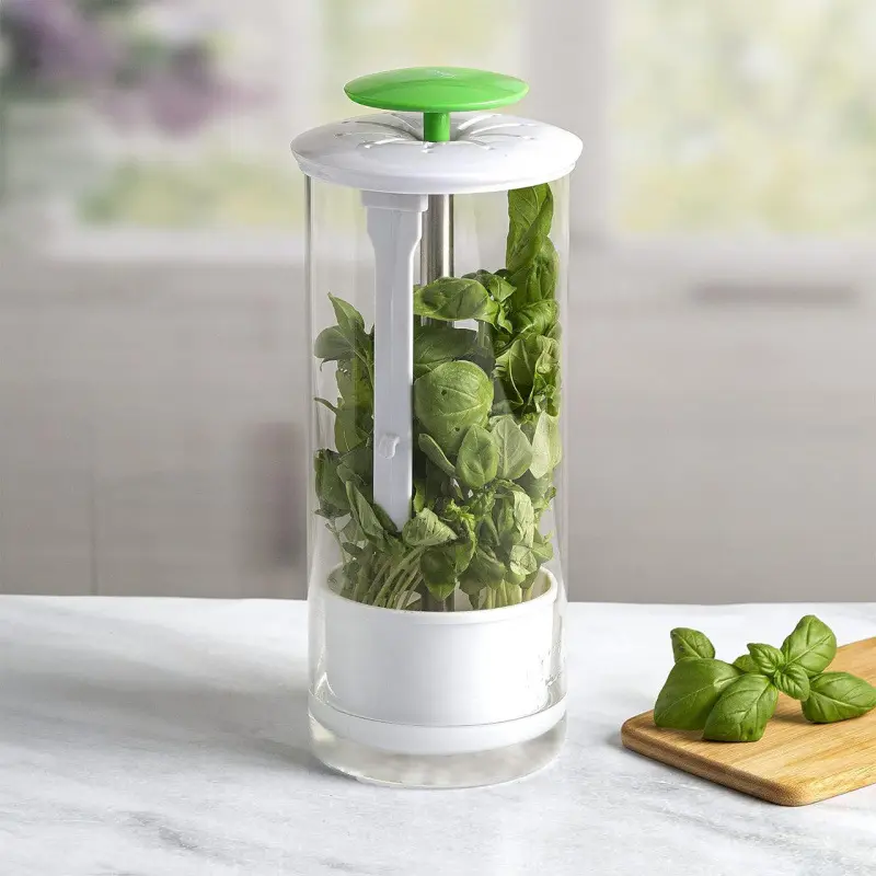 Popular herb preservation box, vegetable and herb preservation container, herb and coriander preservation box