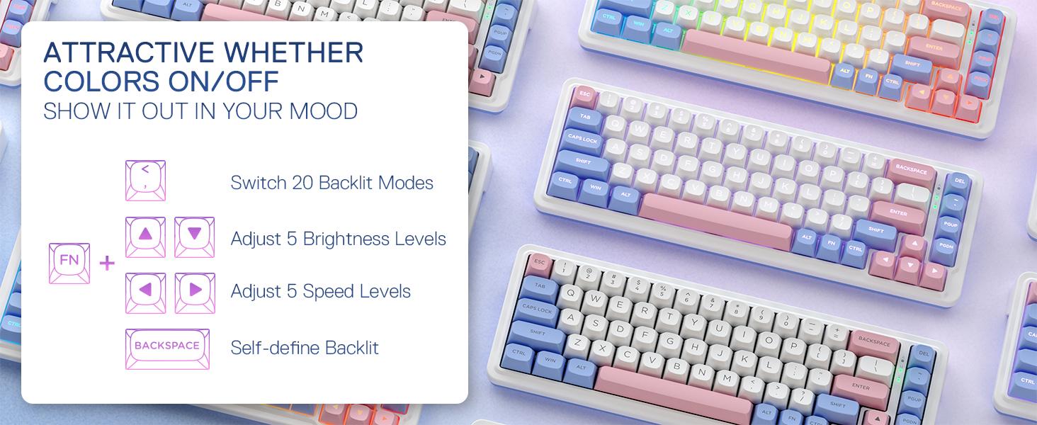 Redragon K709 PRO 65% Wireless Gasket RGB Gaming Keyboard, 68 Keys Hot-Swap Compact Mechanical Keyboard w/Free-Mod Socket, 5-Layer Noise Dampening & Round PBT Keycaps, Quiet Custom Linear Switch