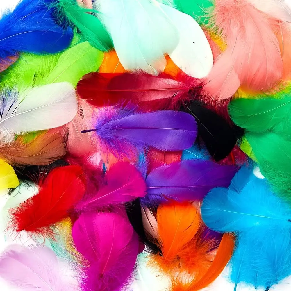 800pcs 20 Colors Natural Craft Feathers 3-5 Inches Assorted Rainbow Colorful Feathers for Kids Handmade Wedding DIY Party Decorations