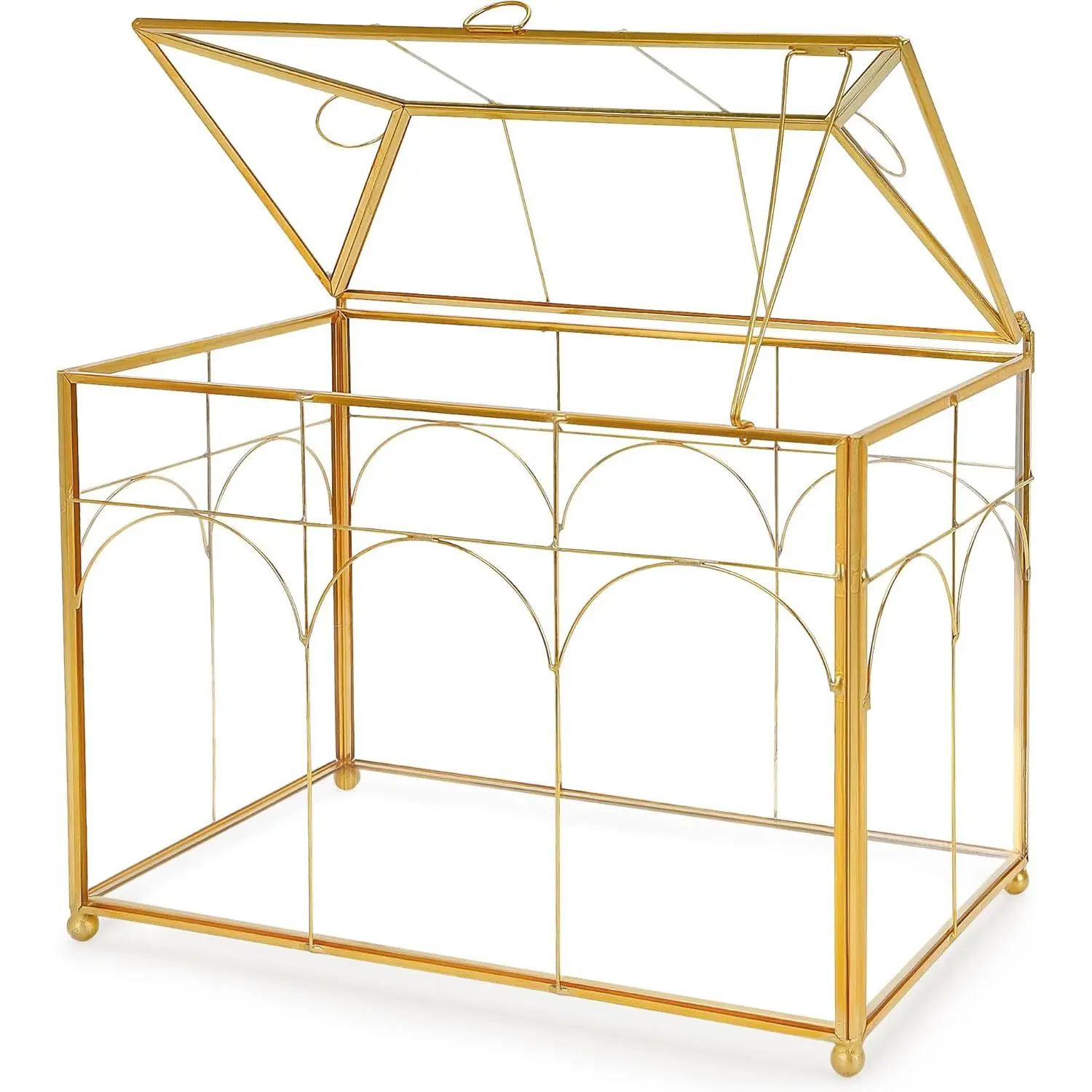 Glass Planter Terrarium with Lid, Indoor Tabletop Centerpiece Display Box Modern Decor DIY   Terrarium Container for Succulent Cacti Air  Flower ()