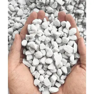 10QT Organic Perlite Horticultural Soil Amendment for Plants and Enhanced Drainage Enhanced