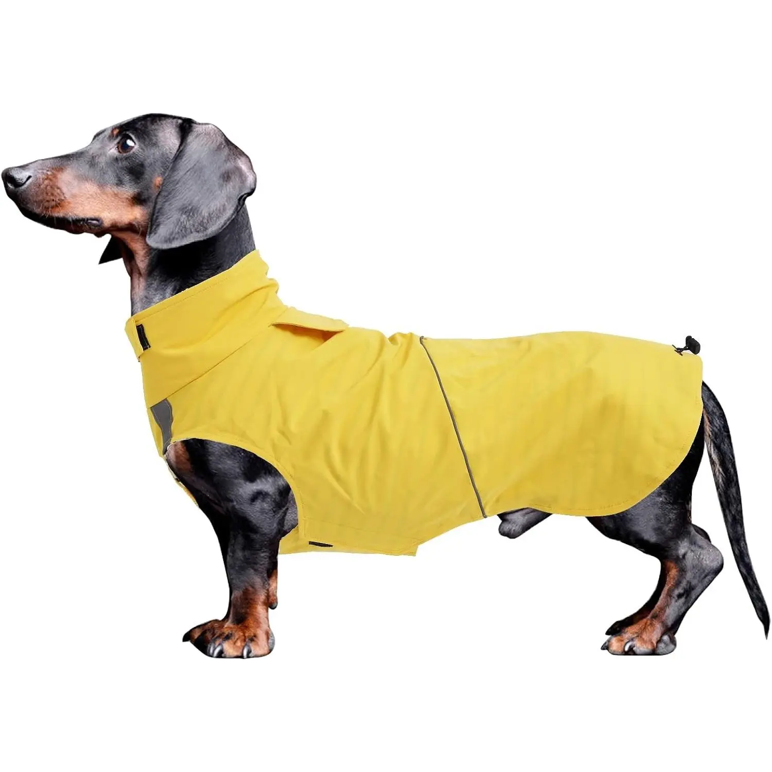 Dachshund Raincoat Weiner Dog Clothes Suitable for Dachshunds Corgi, Weiner, Dog Waterproof Coat with Reflective Stripe underbelly Protection - Yellow - M
