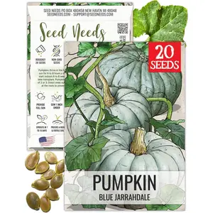 Seed Needs Pumpkin Seeds for Planting Blue Jarrahdale Pumpkins - Non-GMO Heirloom & Untreated Cucurbita Maxima Seed to Plant an Outdoor Home Grown Vegetable Garden (1 Pack)
