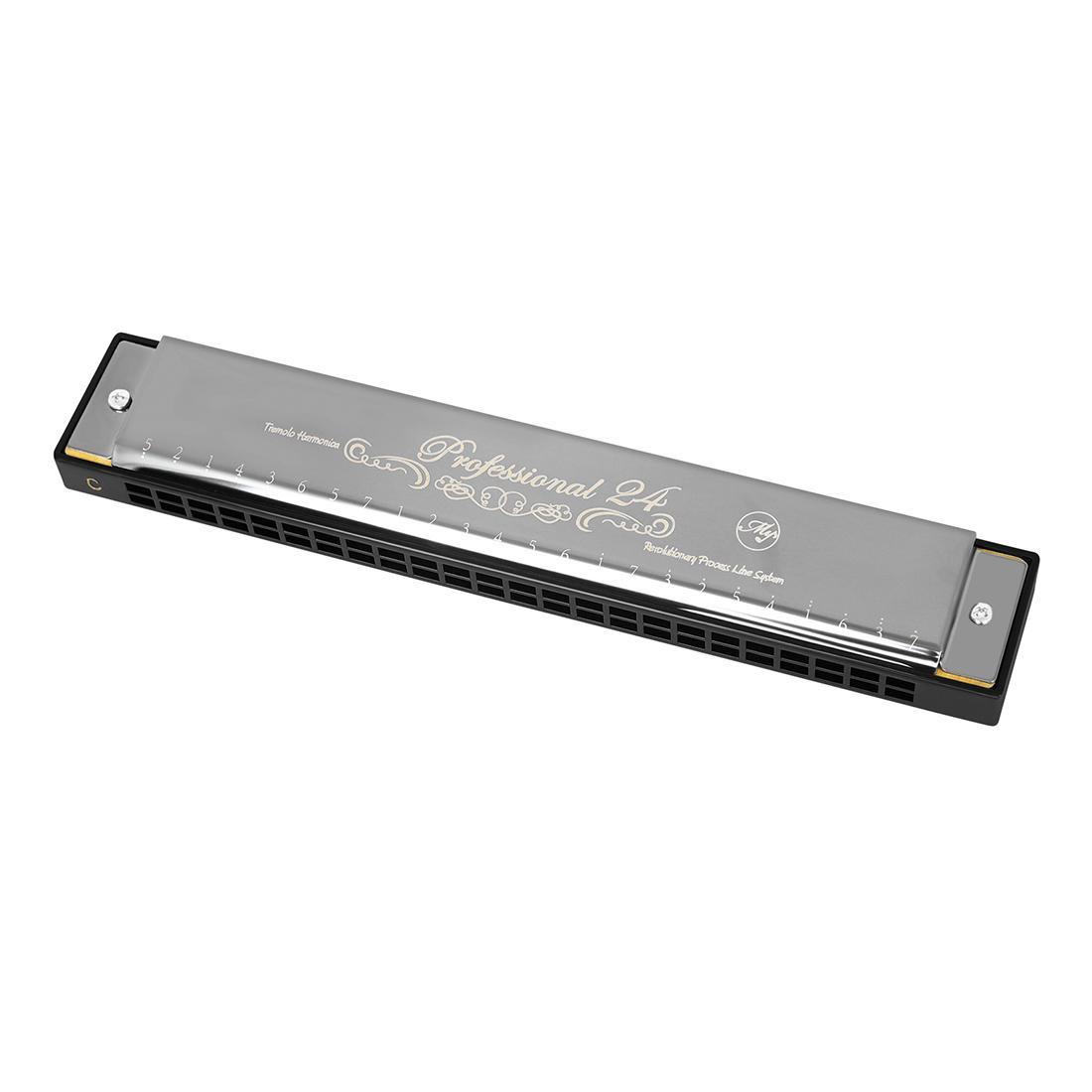 24-hole C Harmonica, 1 Count Professional Mouth Organ with Case, Musical Instrument for Beginners & Professional Players