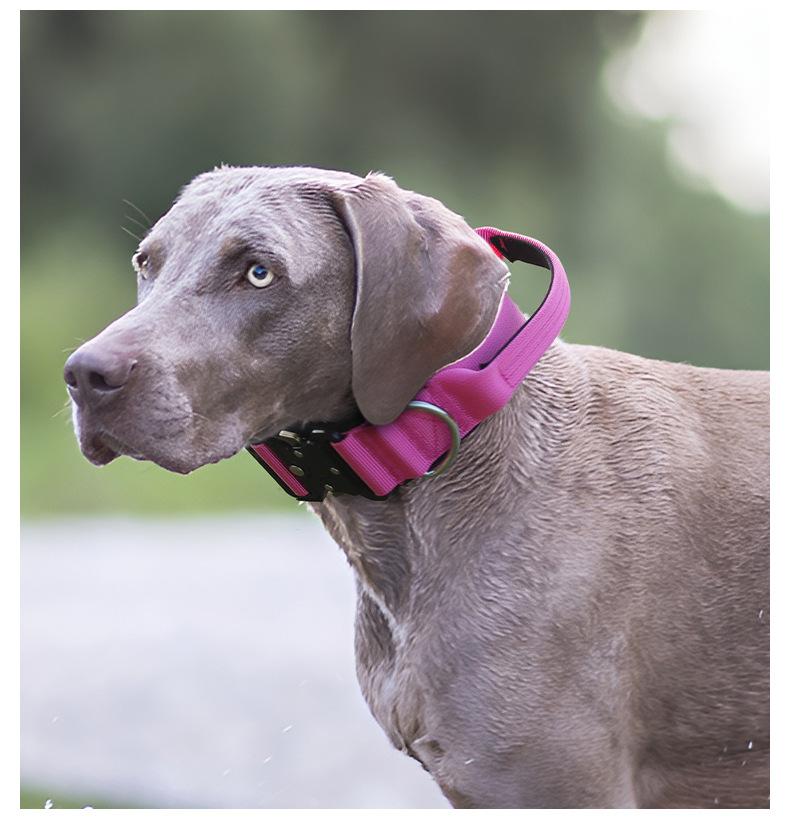 Premium Heavy-Duty Nylon Dog Collar - Extra Wide, Padded, with Stainless Steel Buckle Adjustable Pet Collar, Durable Dog Collar for Medium Large Dogs Cats for Outings, Dog Supplies, Pets Supplies, Christmas Gift