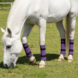 Equestrian Gear Horse Leg Wraps, Adjustable Velcro Material, Comfortable Breathable, Mosquito & Injury Protection, Bright Identification