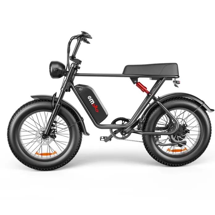 Model C (C91) Unisex 20 Inch 20A Electric Bike with LED Lights, Dual Brakes, for Outdoor Rides - Select Purchase Style via Product Details，quick e bike