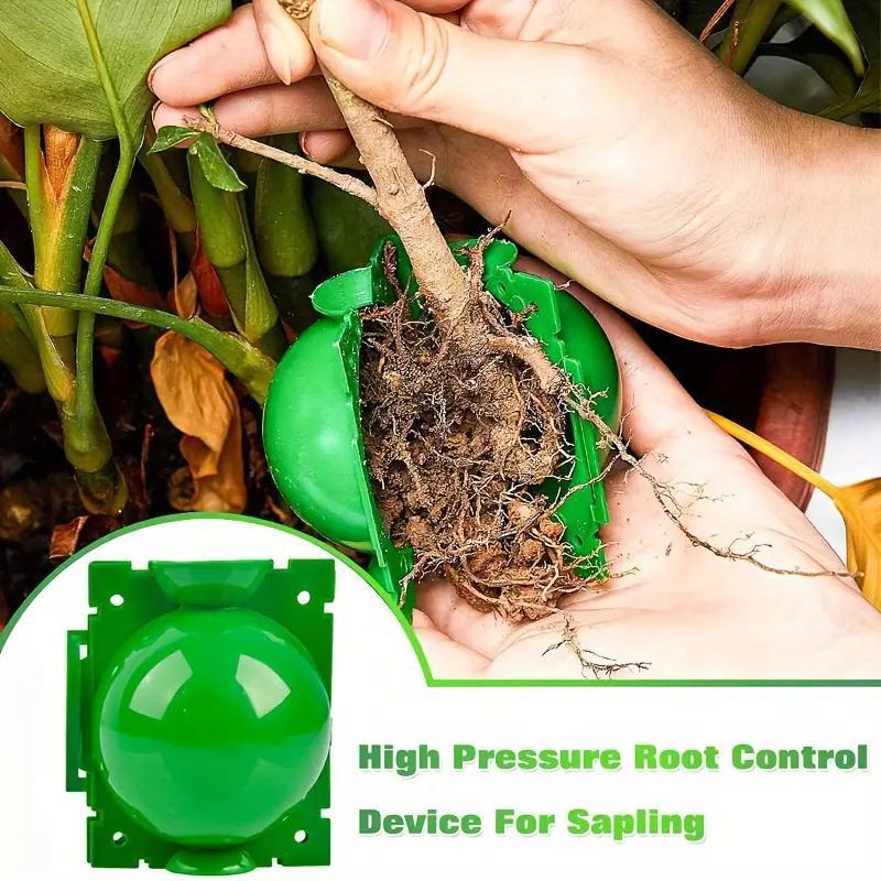 Plant Rooting Ball, 20pcs Rooting Ball Grafting Tool, High Pressure Plant Propagation Ball, Plant Cutting Rooting Ball Device, Garden Supplies #TOP PICKS