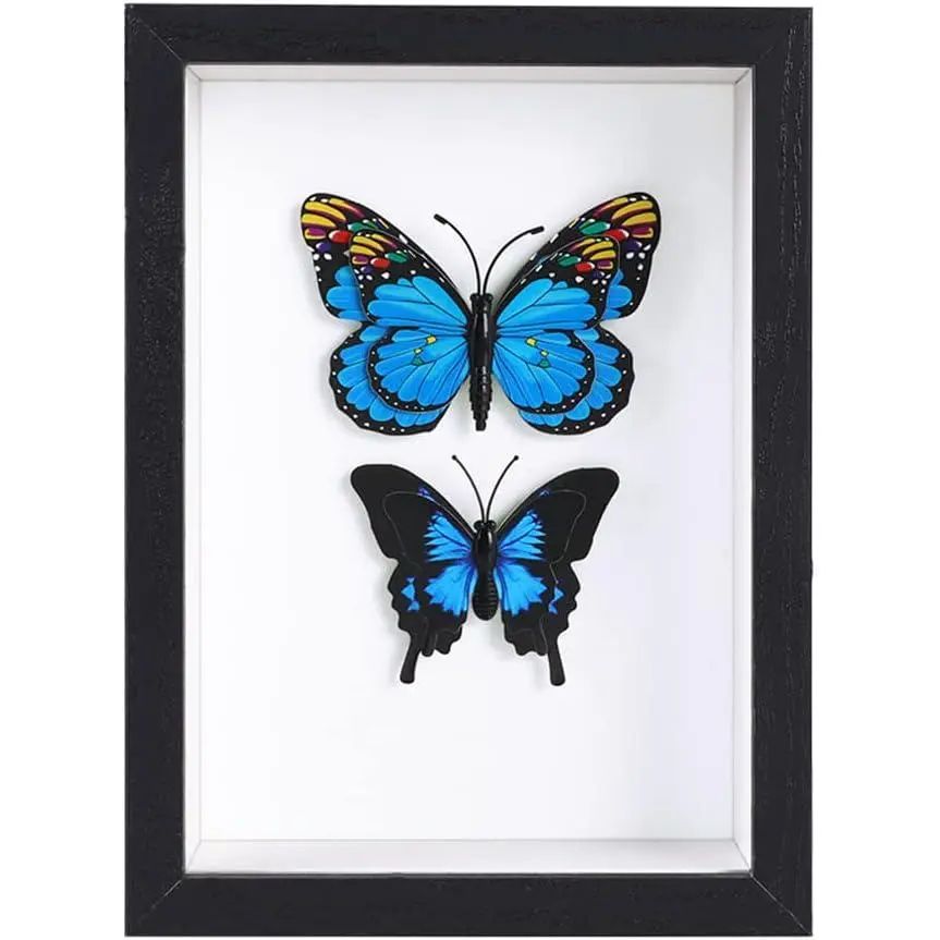 4x6 Black Small Shadow Box Frame | Display Case for Photos, , Wedding Bouquets, Awards, Tickets and Memorabilia