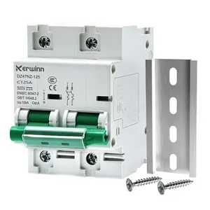 Miniature Circuit Breaker 500V DC Circuit Breaker 2Pole 125Amp din Rail Breaker DIN Rail Mount for Marine Power Systems,Solar photovoltaic Systems(C125A)