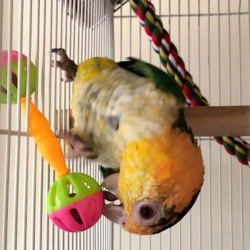 10pcs Bird Bell Chew Toy Small Parrot Foraging Play Toy for Caique Conure Parakeet