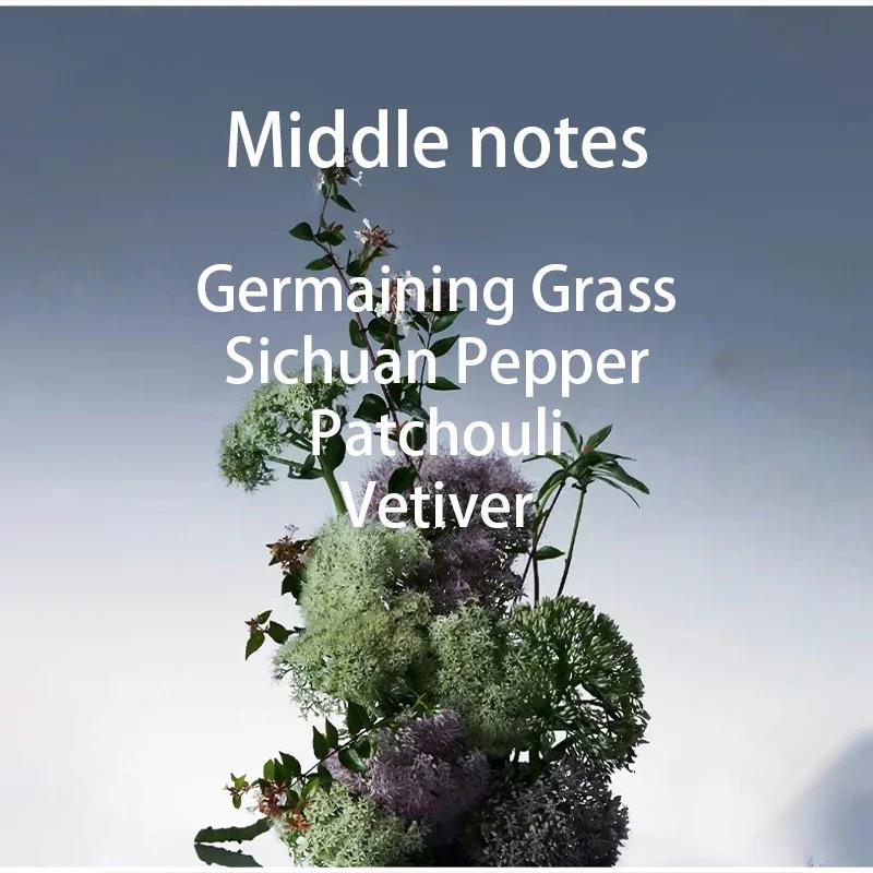 Long Lasting Fragrance for Women Men 100ml Eau De Parfum Classic Fresh Scent Daily Use Perfume High Quality Fast Shipping