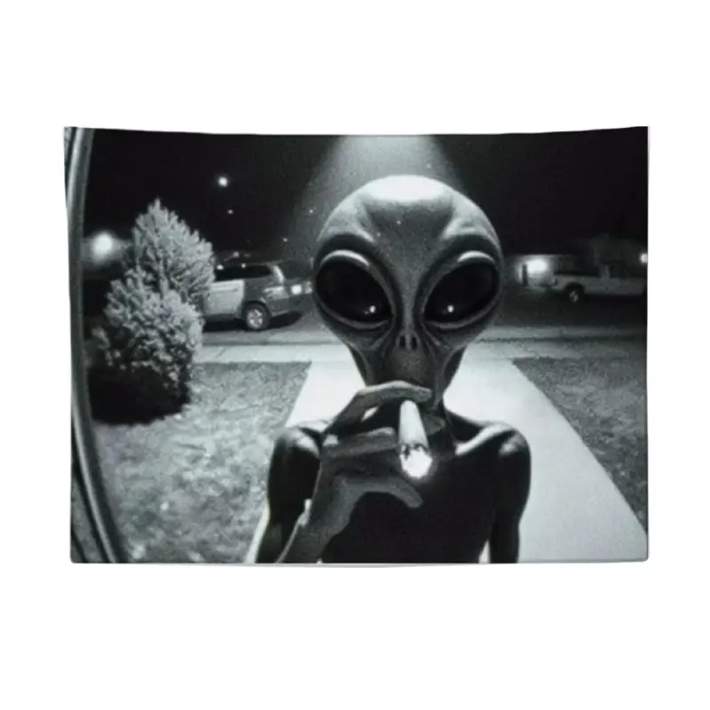 Funny Alien Smokg Jot Tapestry Doorbell Camera Fisheye Lens View Black and White Alien Premium Wall Hangg Stoner 420 Aesthetic Dorm Room Decoration Banner