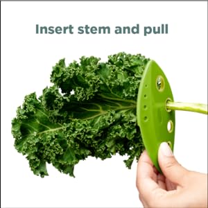 LooseLeaf Kale, Chard, Collard Greens and Herb Stripper