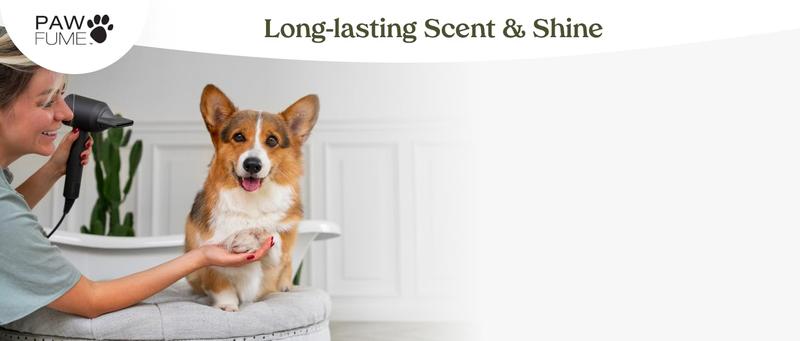 PAWFUME Premium Grooming Spray Dog Spray Deodorizer Perfume for Dogs - Dog Cologne Spray Long Lasting Dog Sprays - Dog Perfume Spray Long Lasting After Bath- Dog deodorizing Spray (Blue Ribbon)