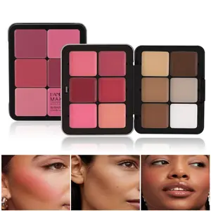 12-Color Blush Palette, Highlighter and Contour All-In-One, Matte Concealer Blush Gel, Makeup Box, Beauty Essentials