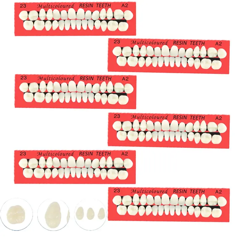112 PCS 23# A2 Color Acrylic Resin Fake Teeth, 6 Sets Synthetic Resin Artificial Denture Replacement Teeth Prop, Realistic False Teeth for Dental Teaching Practice, Art Creation and DIY Craft Use