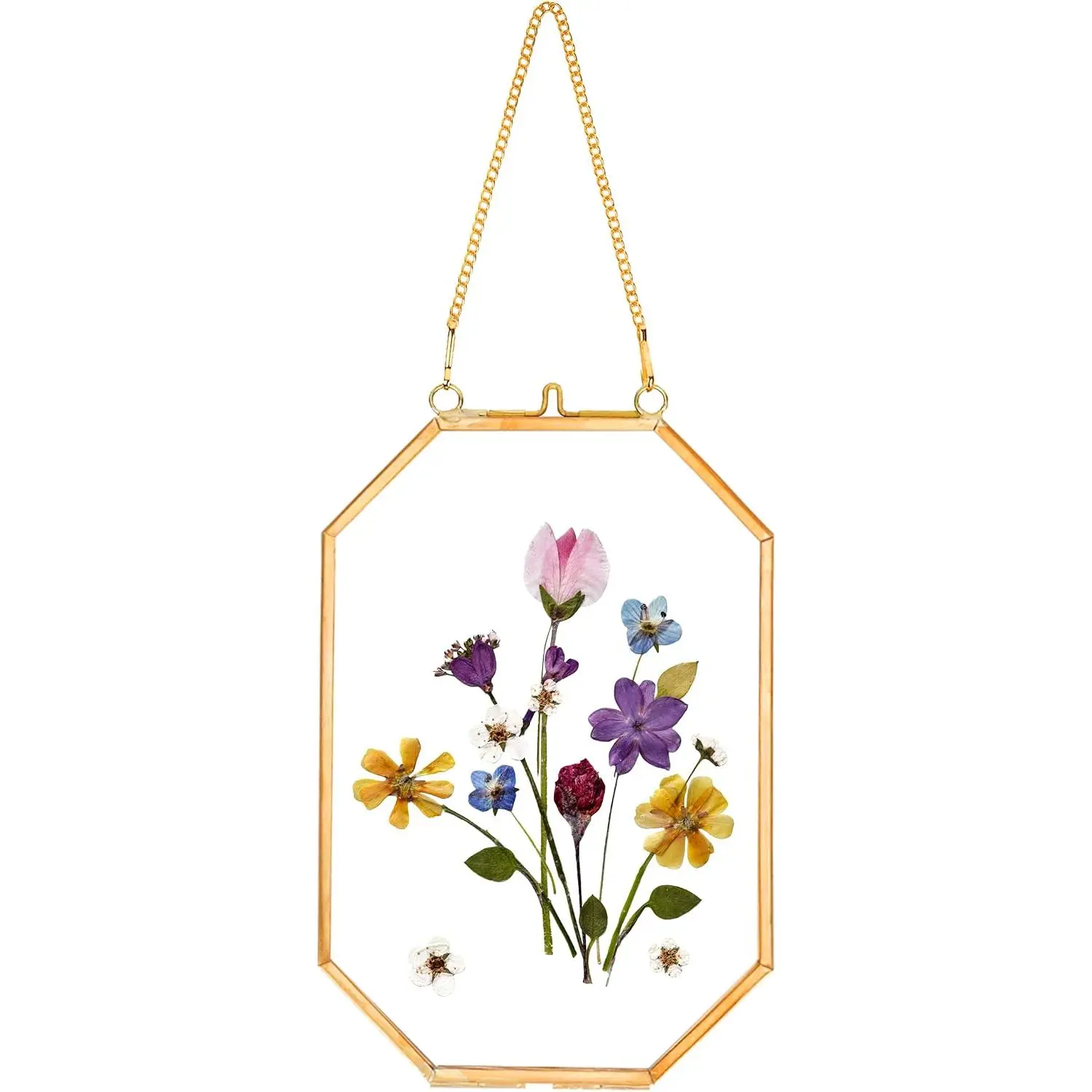 New Pressed Flower Frames, Glass Floating Frames For Display Dried Plant Specimen Picture, Hanging Brass Photo Frame With Chain, Double Clear Glass, Vintage Wall Decor, Octagon, Gold, 4x6 Inches