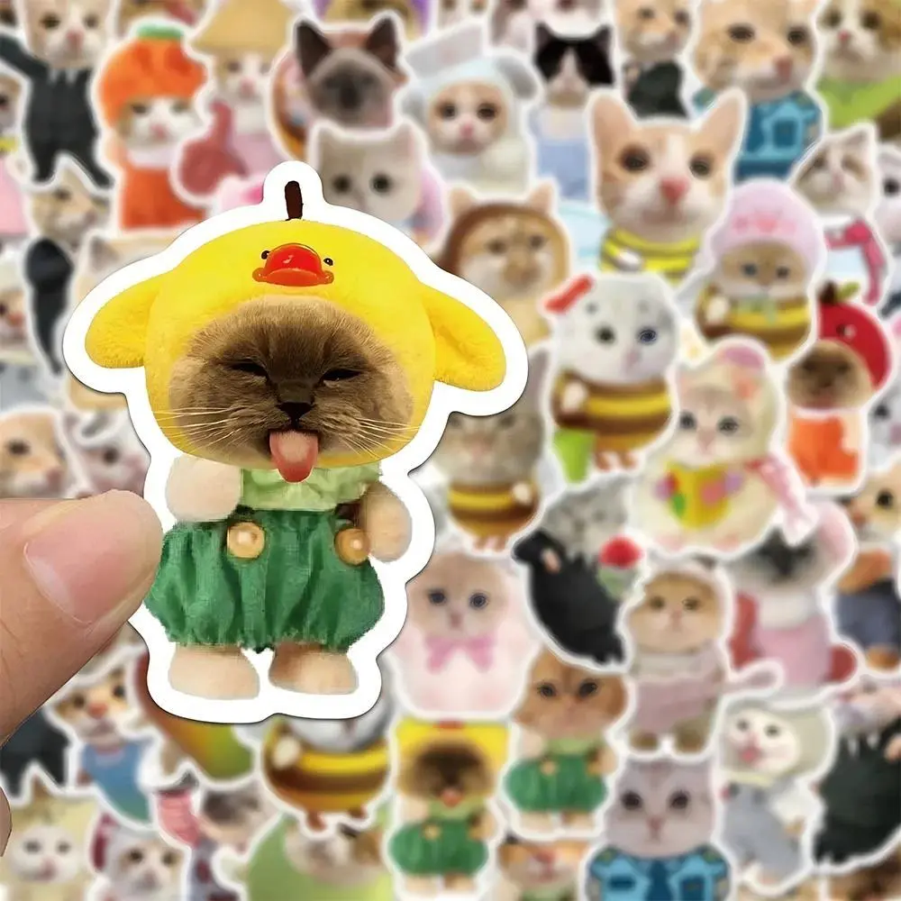 10/30/62pcs Funny Cat MEME Creative Stickers Cartoon Cute Graffiti Decals DIY Motorcycle Phone Luggage Waterproof Sticker Decor