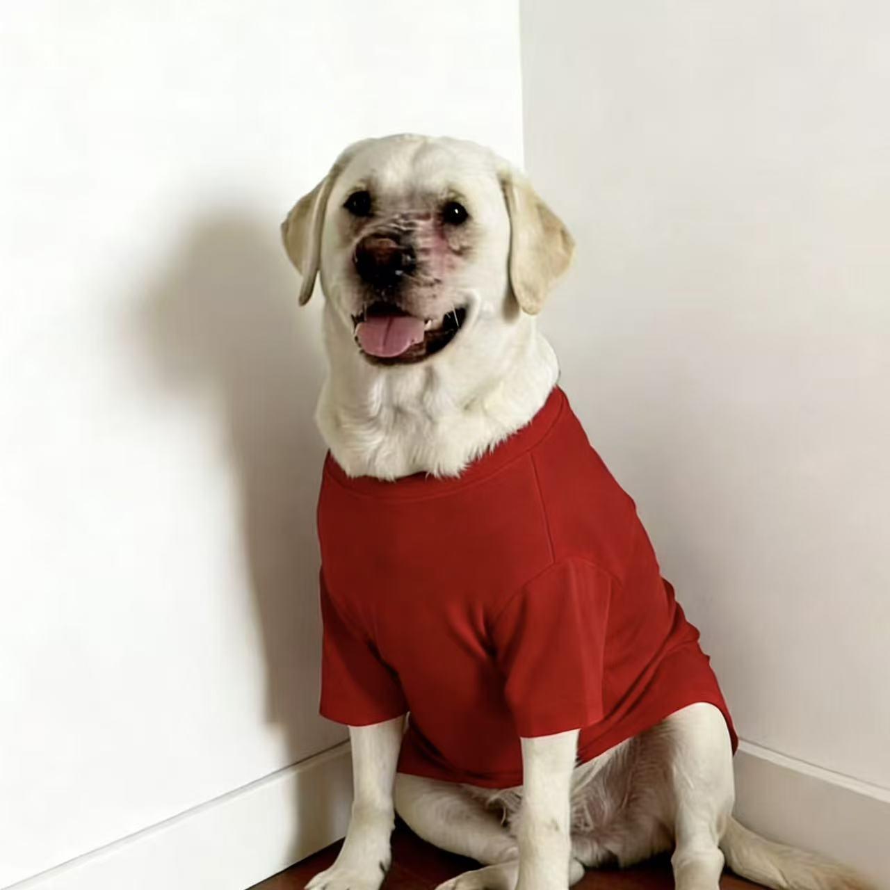 SoPets Summer Cooling Dog Shirts for Large Breeds Labrador Golden Retriever Thin Anti Shedding Shirt Breathable Pet Clothing