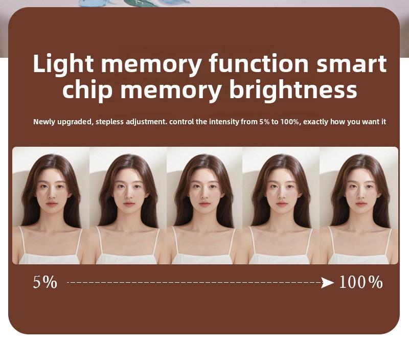 Internet Celebrity LED Makeup Case with Light and Mirror, Portable LED Makeup Bag with Large Capacity, Multifunctional Cosmetic Storage Organizer for Travel and Daily Use, Adjustable Light Makeup Box