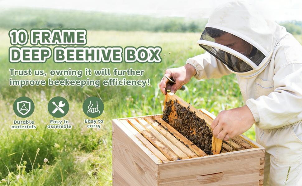 10 Frame Deep Beehive Box,Langstoth Deep Brood Bee Hive Box, Include Beehive Frames and Waxed Foundations