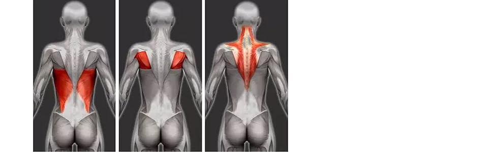 Pull Down Bar for Cable Machine, LAT Pulldown Attachments T Bar V Bar Cable Attachment, Back Tricep Bar Strength Training Handle