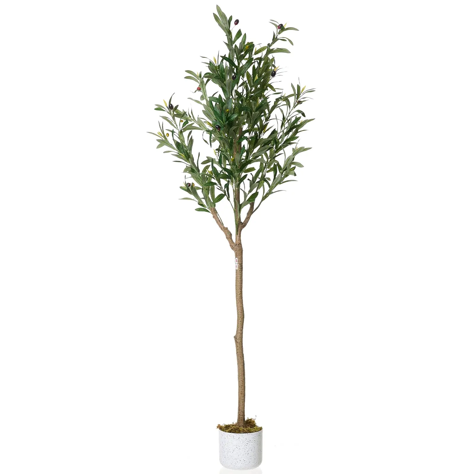 6Ft Artificial Olive Tree Potted, Faux Olive Tree with Realistic Wood Trunk & Leaves, Lifelike Fruits, in Cement Planter for Home Decor Living Room Office